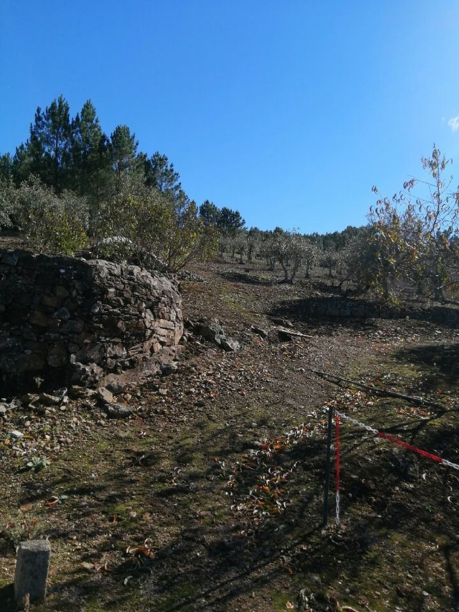  te koop terrein Cabril Marvão 1