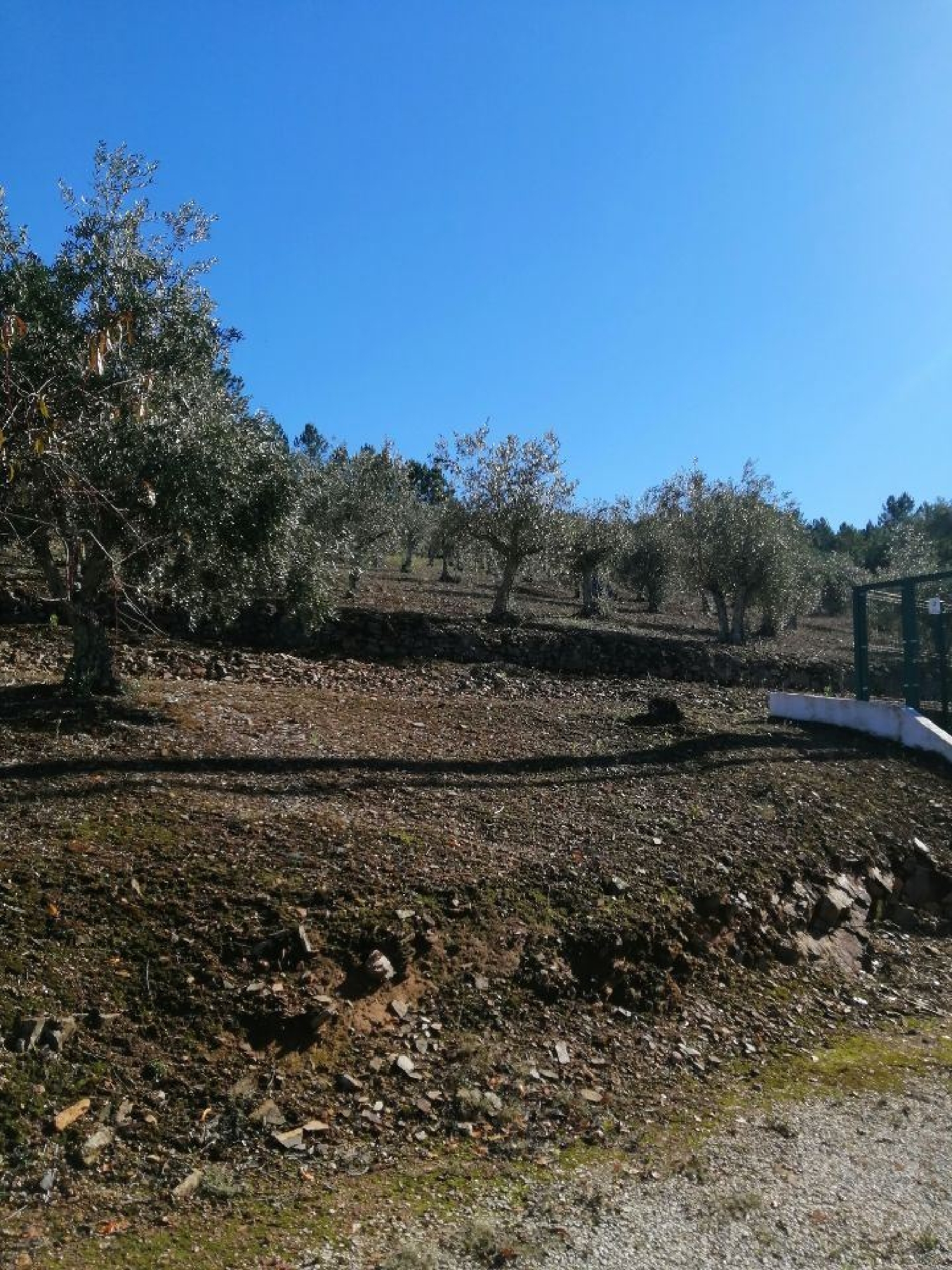  te koop terrein Cabril Marvão 2