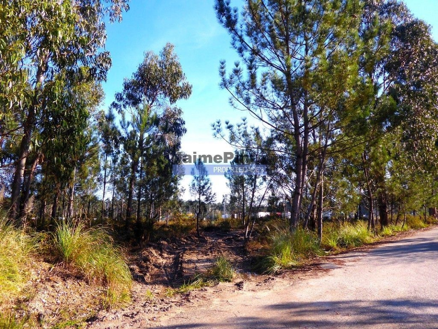 for sale terrain Cacia Aveiro 2
