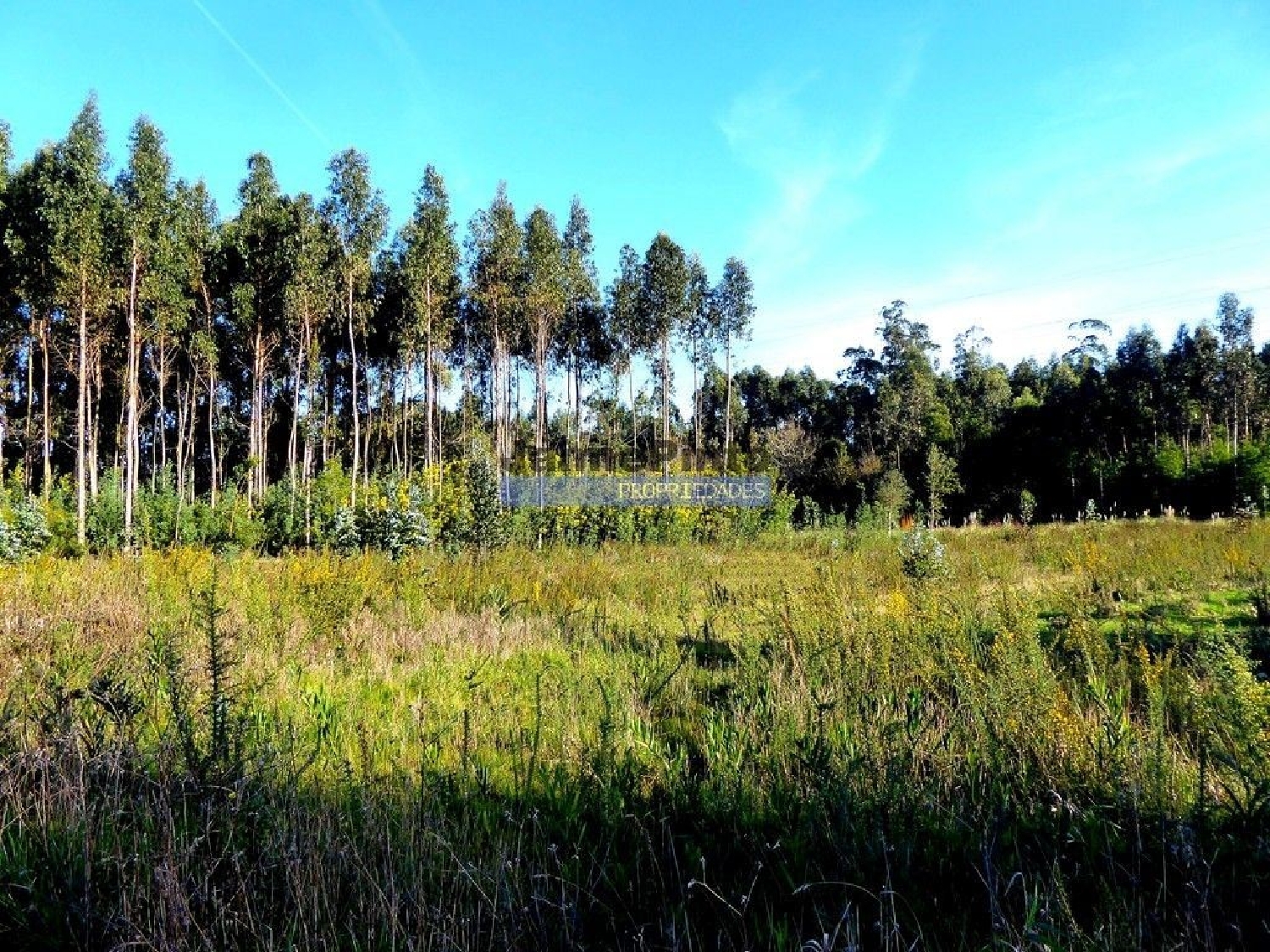  for sale terrain Cacia Aveiro 1