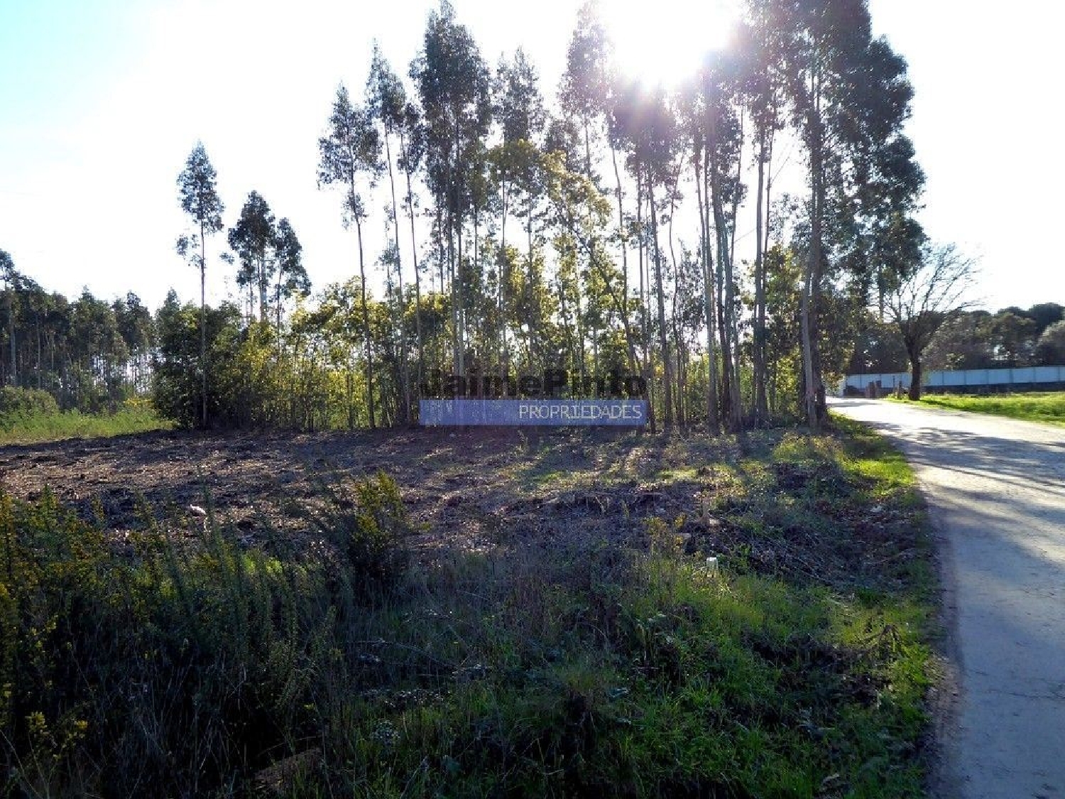 for sale terrain Cacia Aveiro 2