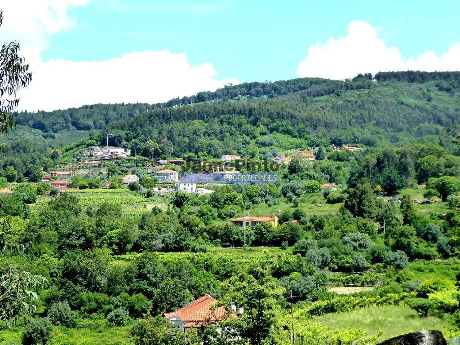  à venda terreno Calheiros Ponte De Lima 1