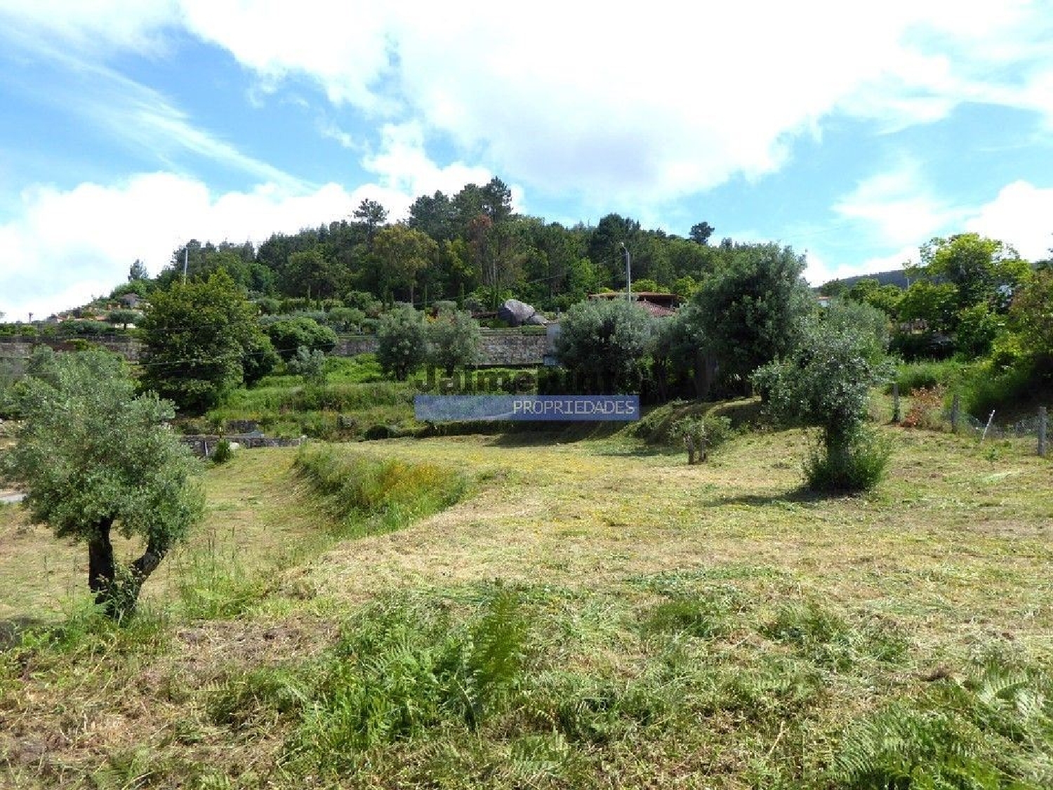 à venda terreno Calheiros Ponte De Lima 3