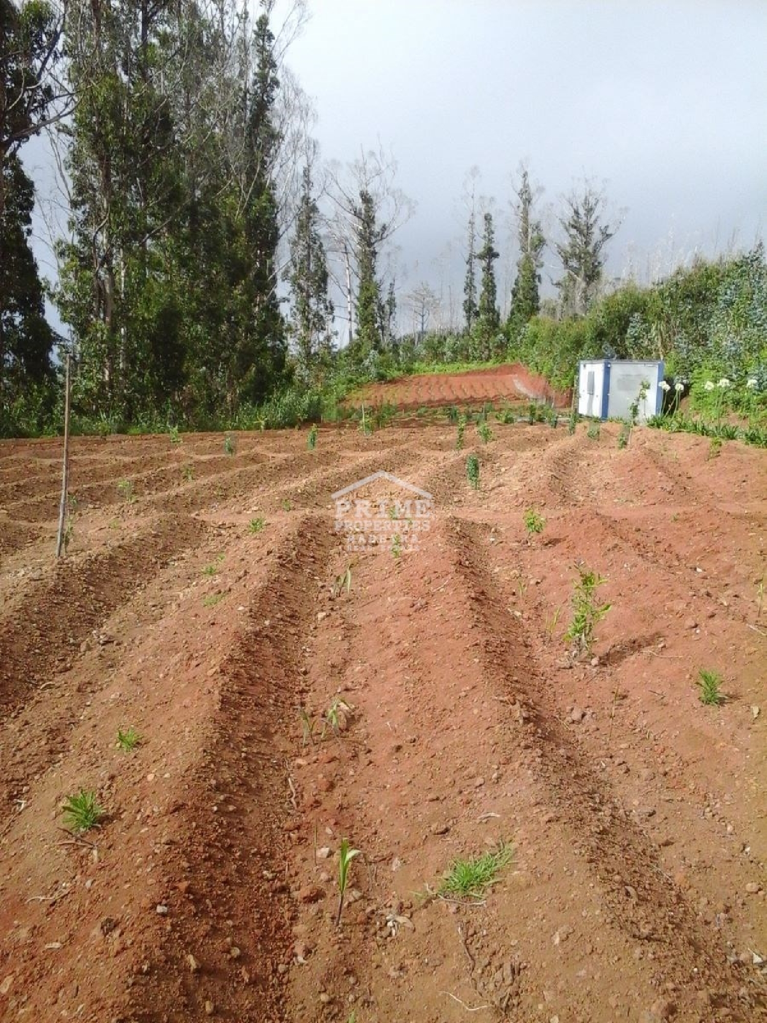  à venda terreno Calheta Calheta (Madeira) 2