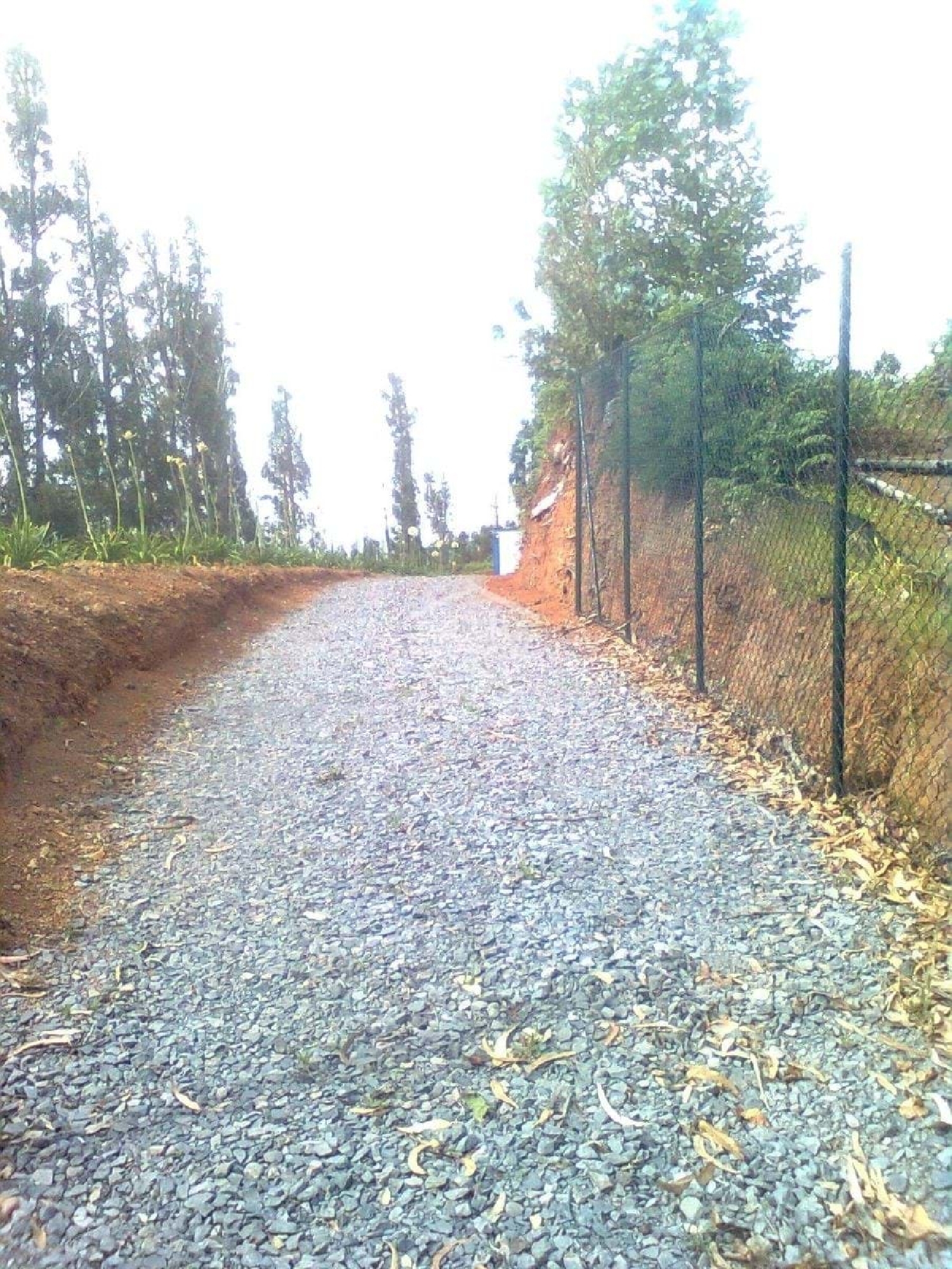  à venda terreno Calheta Calheta (Madeira) 3