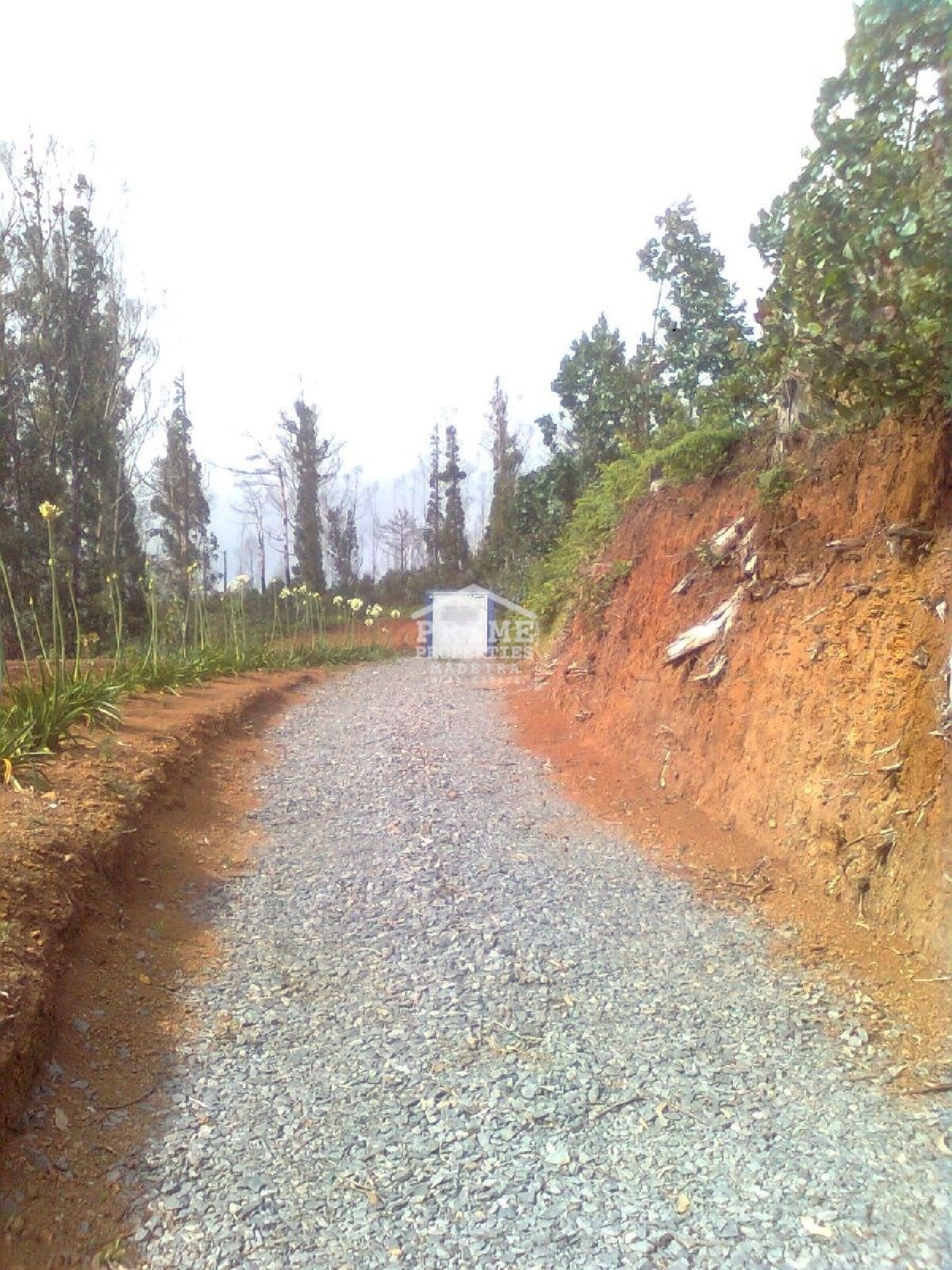  à venda terreno Calheta Calheta (Madeira) 4