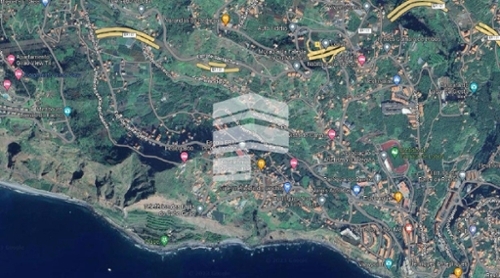 Câmara de Lobos Câmara De Lobos terrain foto 319714