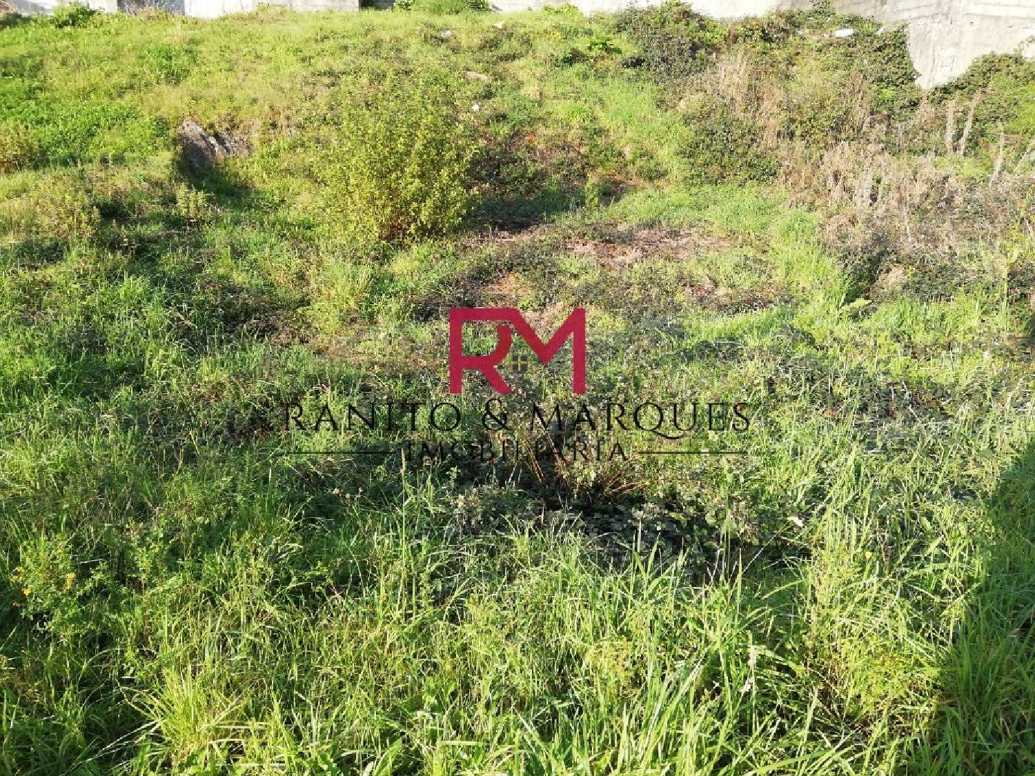 te koop terrein Campo Valongo 3