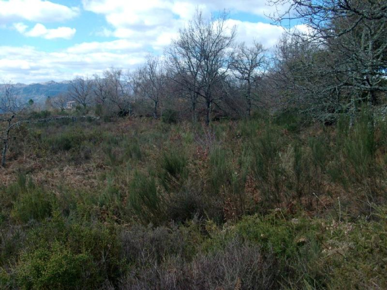 à vendre terrain Campos Vieira Do Minho 2
