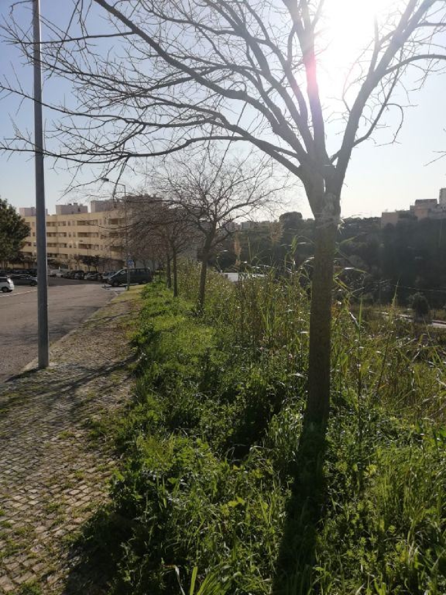 à vendre terrain Caneças Odivelas 2
