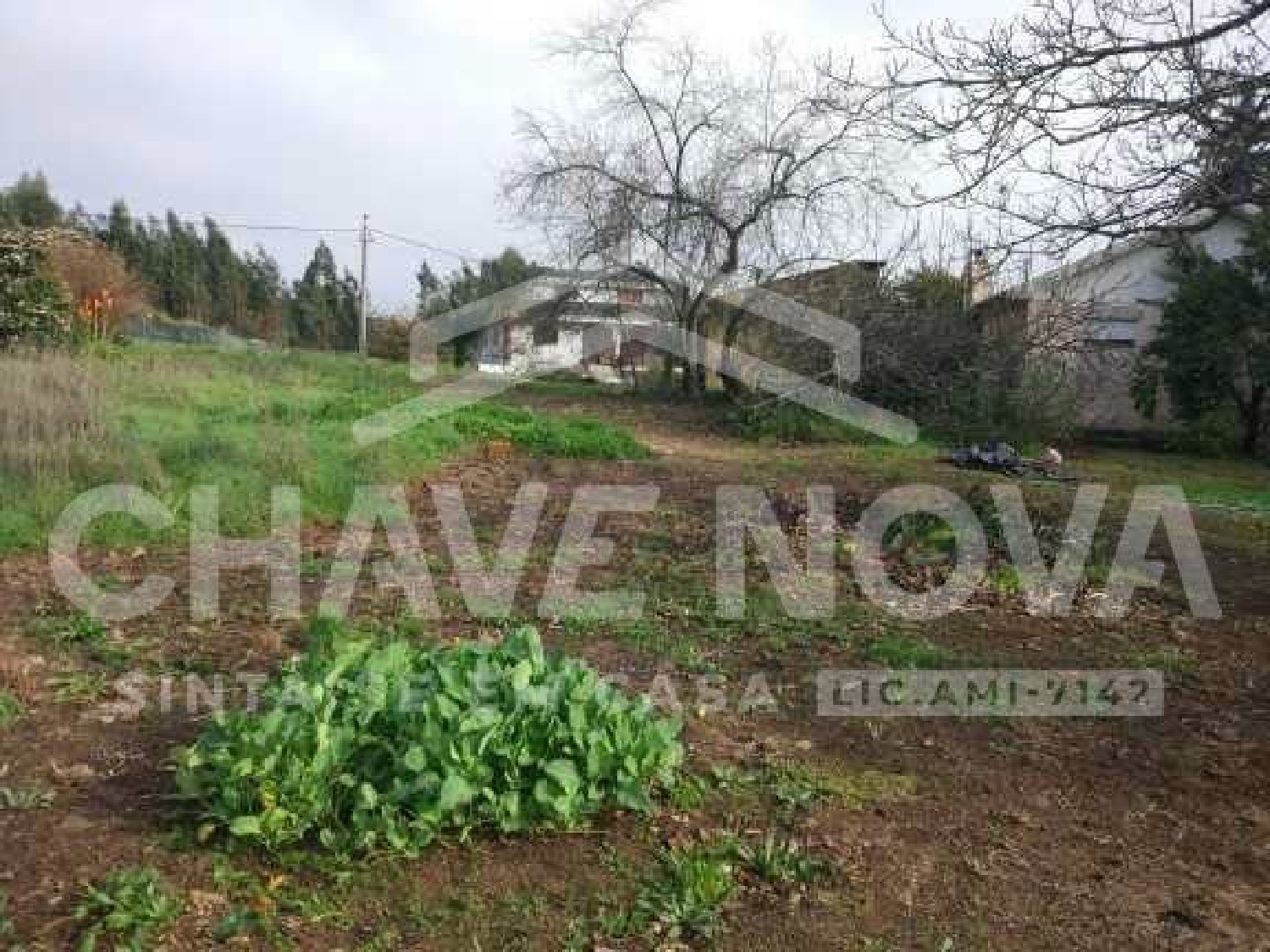  en venta terreno Canedo Santa Maria Da Feira 3