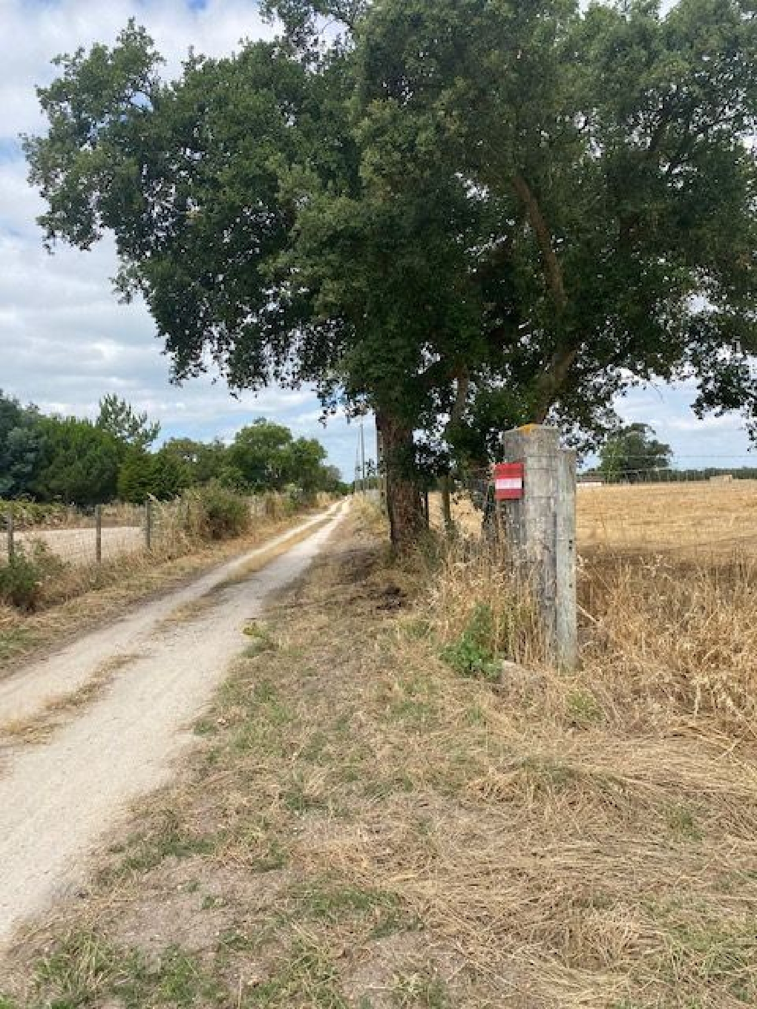 te koop terrein Canha Montijo 3