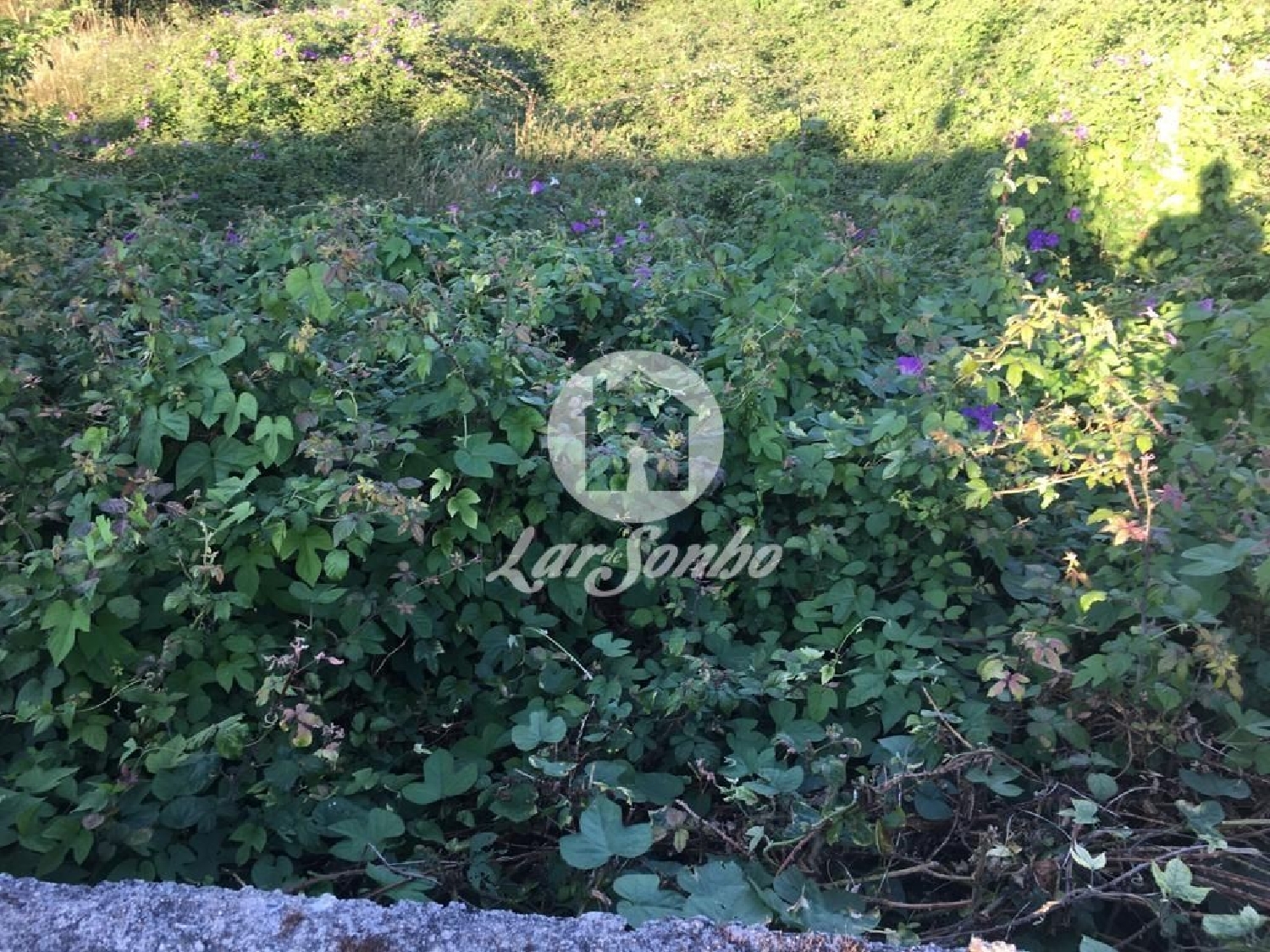  te koop terrein Canidelo Vila Do Conde 1