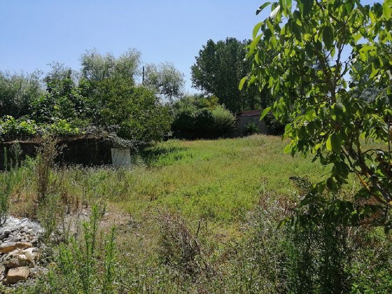  te koop terrein Cantanhede Cantanhede 2