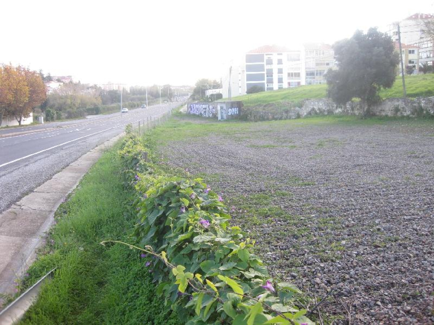 te koop terrein Carcavelos Cascais 2