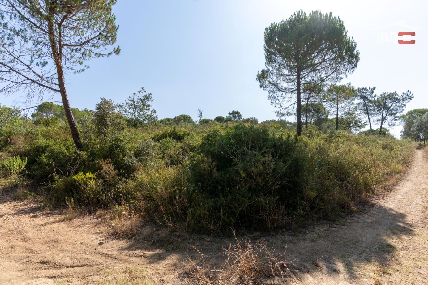 for sale terrain Carregueiros Tomar 3