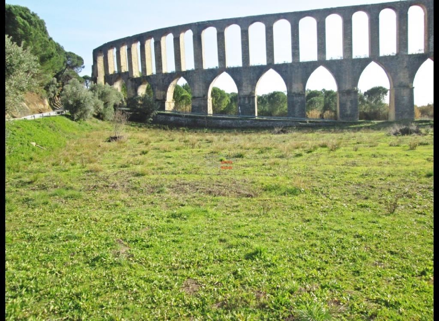 à vendre terrain Carregueiros Tomar 3