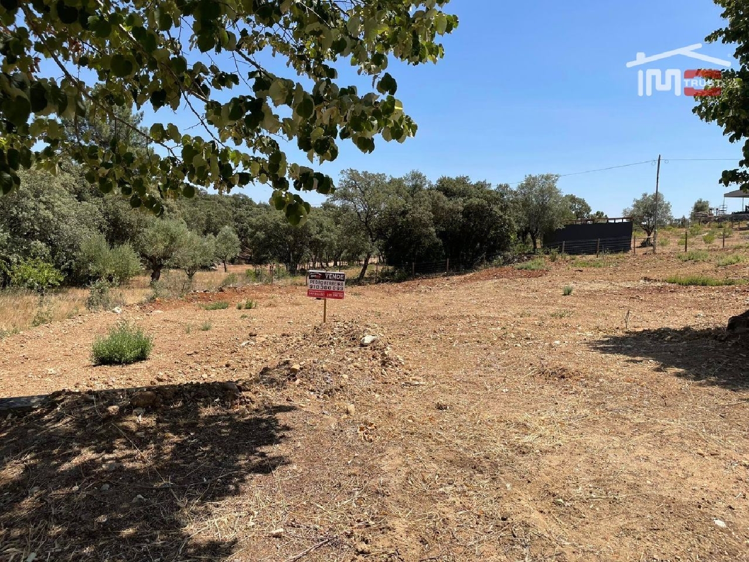 à venda terreno Carregueiros Tomar 1