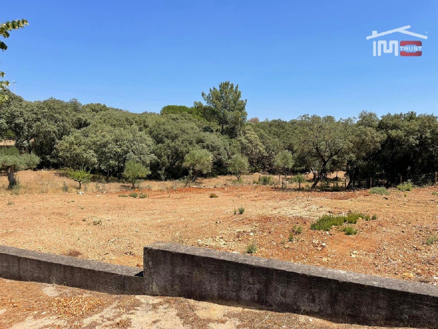  à venda terreno Carregueiros Tomar 3