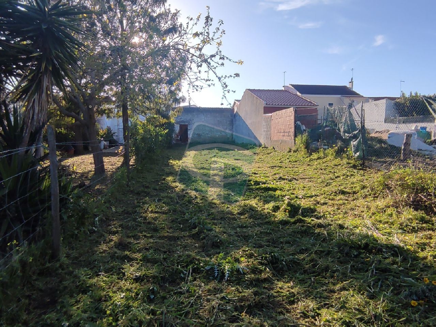 te koop terrein Cartaxo Cartaxo 2