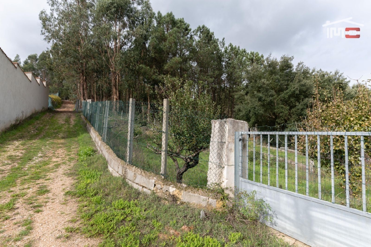  à vendre terrain Carvalhal de Baixo Ourém 1