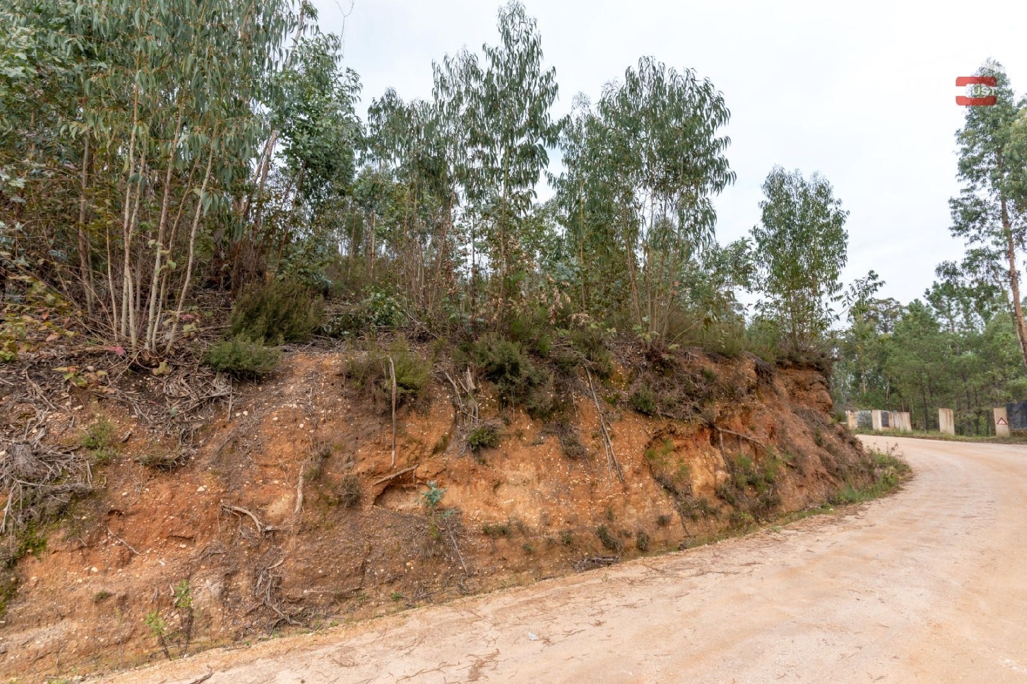  à vendre terrain Carvalhal de Baixo Ourém 3