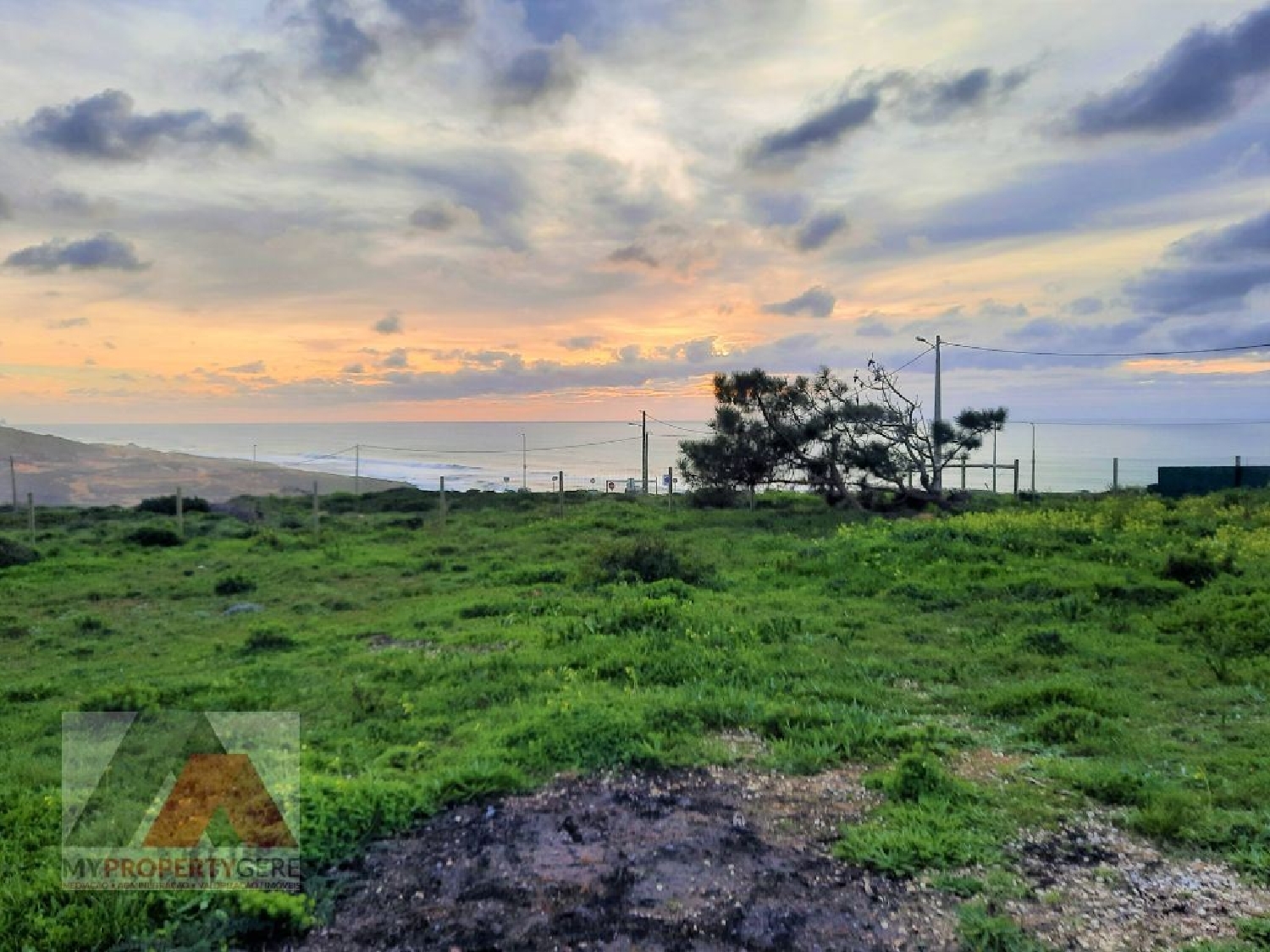  出售 土地 Carvoeira Mafra 3