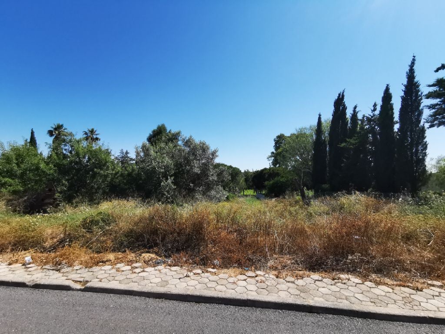  kaufen Grundstück Carvoeiro Lagoa (Algarve) 1