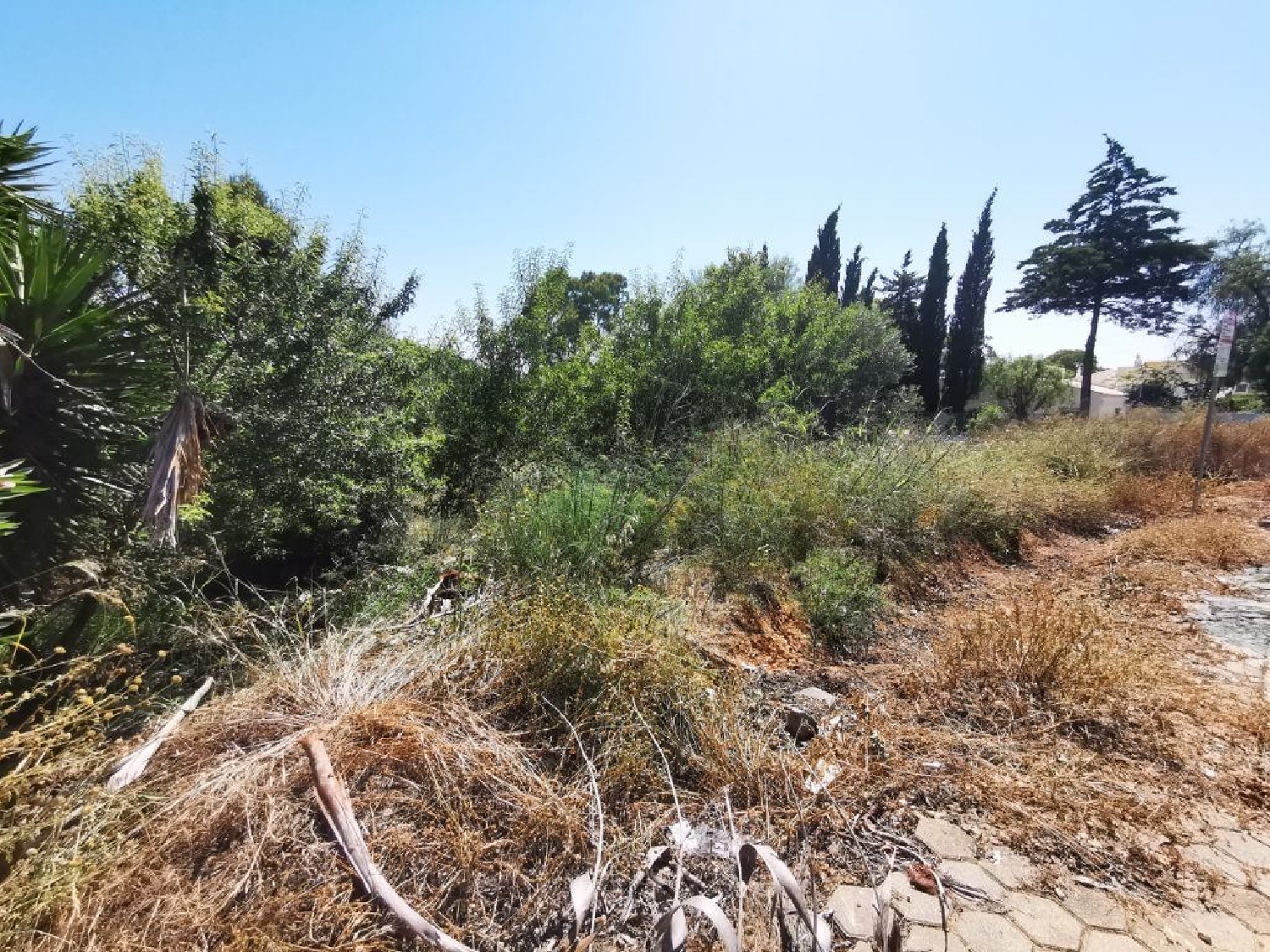 kaufen Grundstück Carvoeiro Lagoa (Algarve) 2