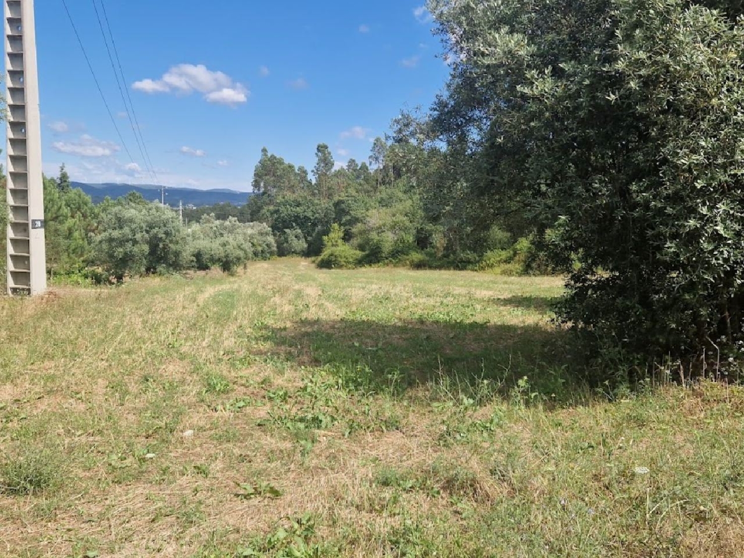  en venta terreno Casal Comba Mealhada 2
