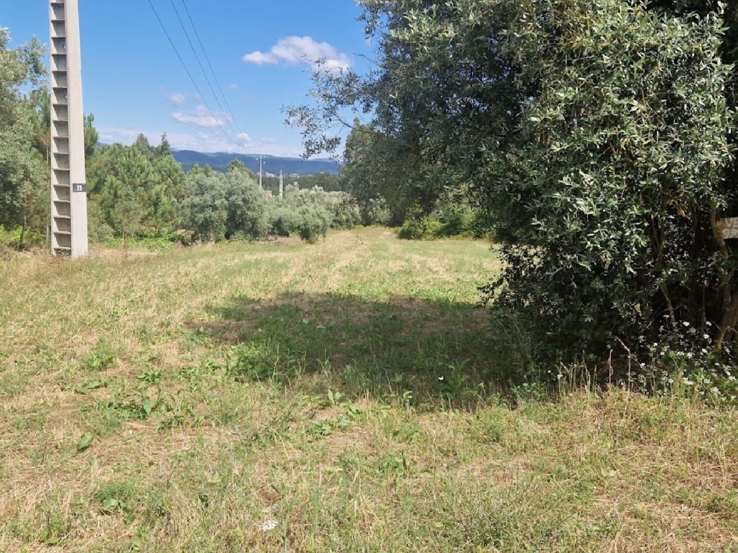  en venta terreno Casal Comba Mealhada 3