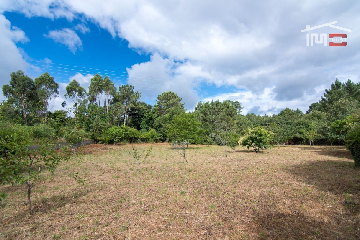  for sale terrain Casal do Marra Batalha 1