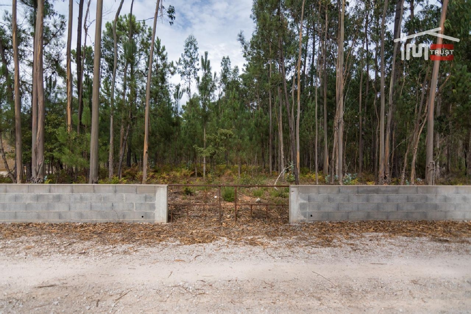 for sale terrain Casal do Relvas Batalha 3