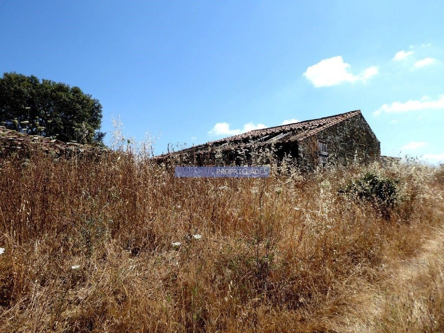 for sale terrain Casével Castro Verde 3