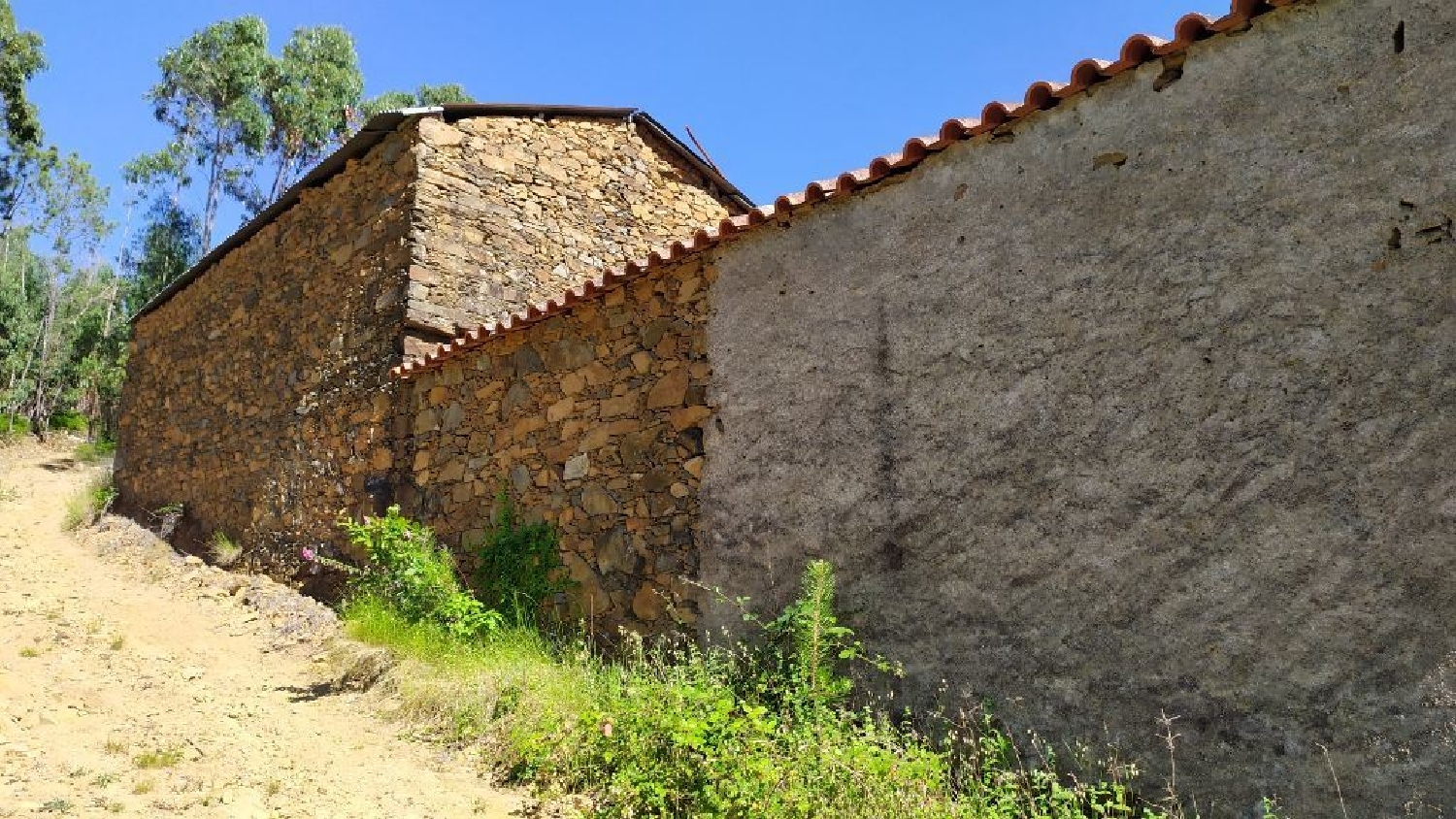 à vendre terrain Castanheira de Pêra Castanheira De Pêra 3