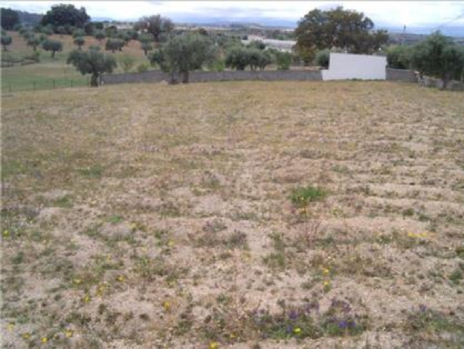  te koop terrein Castelo Branco Castelo Branco 1