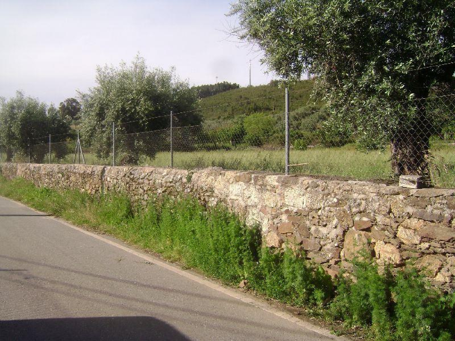 te koop terrein Castelo Branco Castelo Branco 2