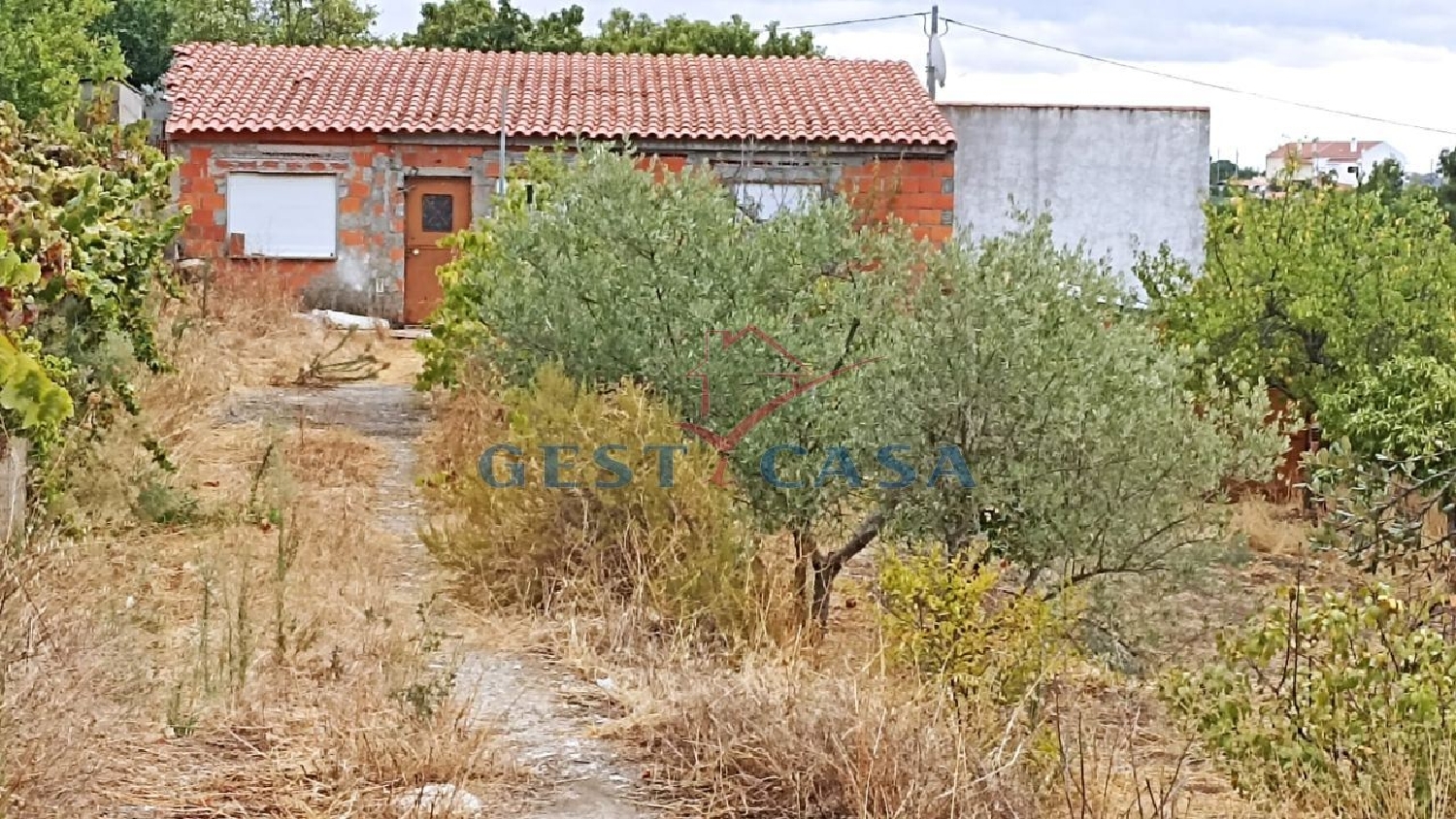 te koop terrein Castelo Branco Castelo Branco 3
