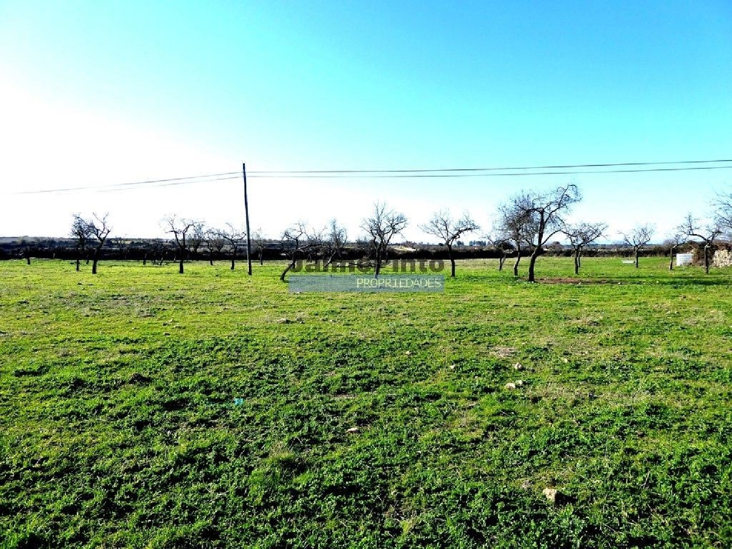  te koop terrein Castelo Rodrigo Figueira De Castelo Rodrigo 1