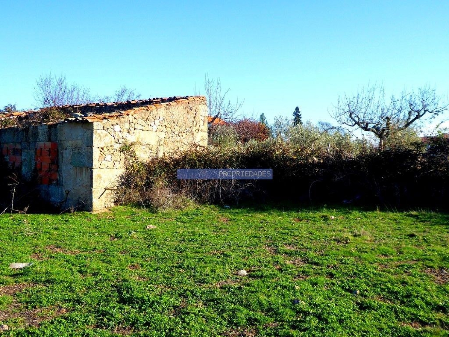te koop terrein Castelo Rodrigo Figueira De Castelo Rodrigo 2