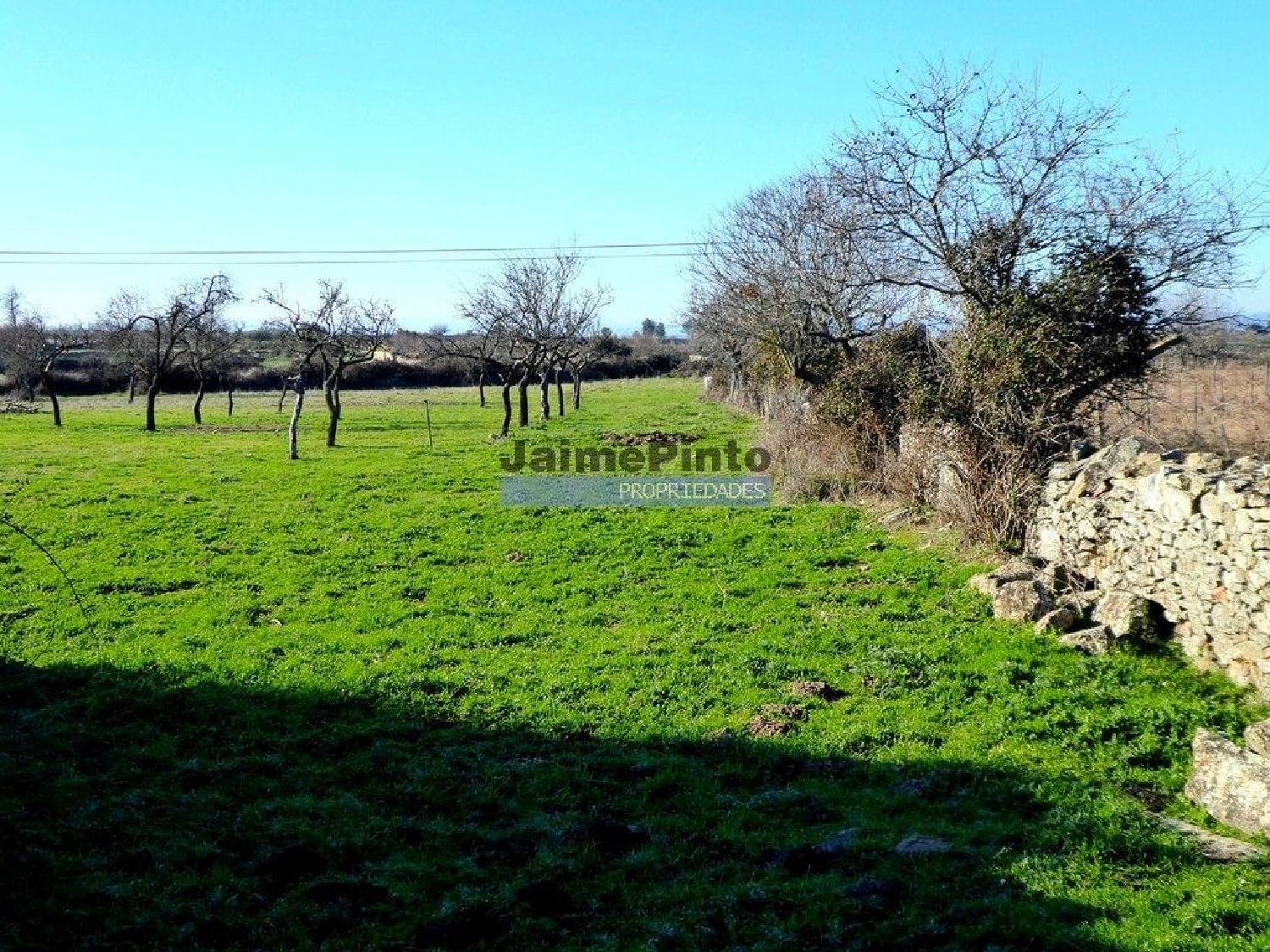 te koop terrein Castelo Rodrigo Figueira De Castelo Rodrigo 3