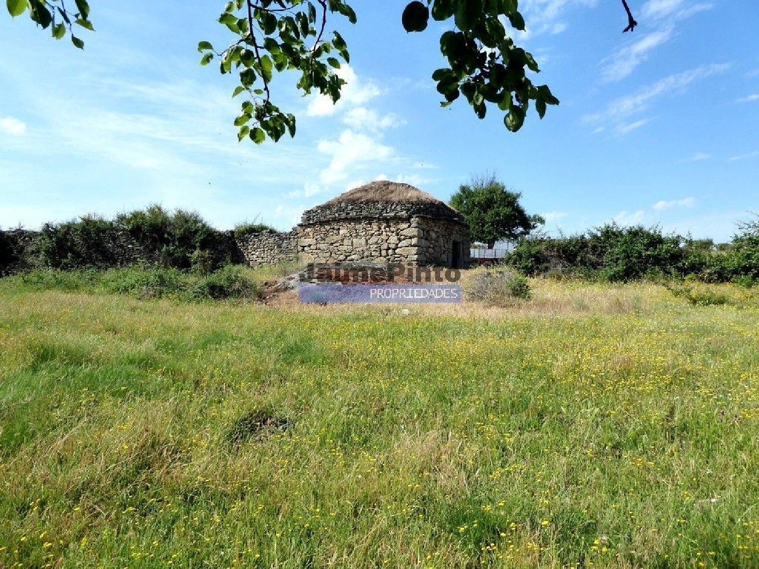 te koop terrein Castelo Rodrigo Figueira De Castelo Rodrigo 1