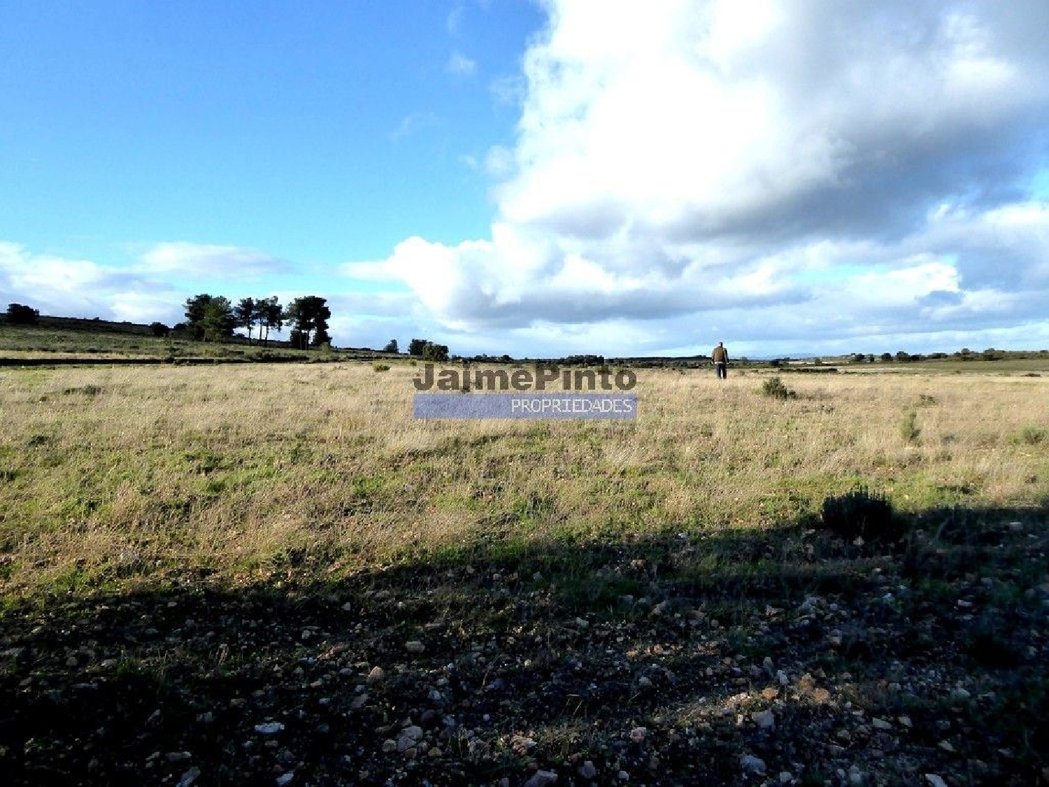  te koop terrein Castelo Rodrigo Figueira De Castelo Rodrigo 1
