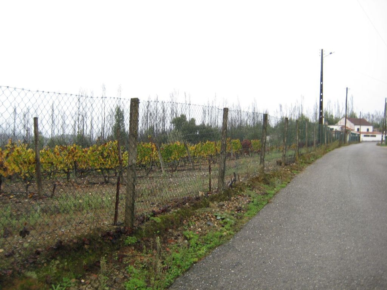  te koop terrein Castelo Sertã 1