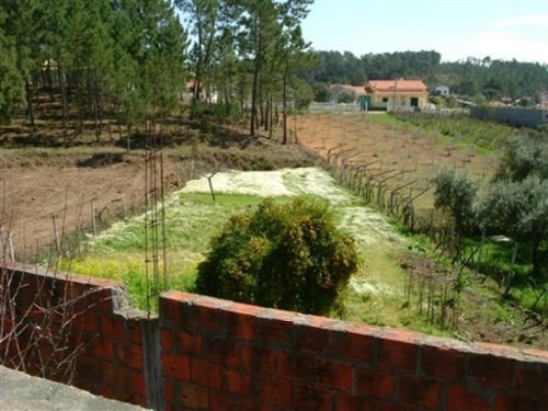 Castelo Sertã terrein foto 327214