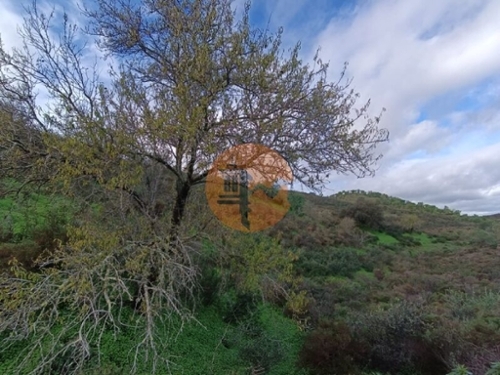 Castro Marim Castro Marim terrein foto 329637