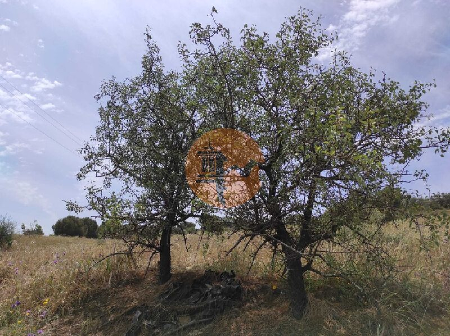  te koop terrein Castro Marim Castro Marim 1