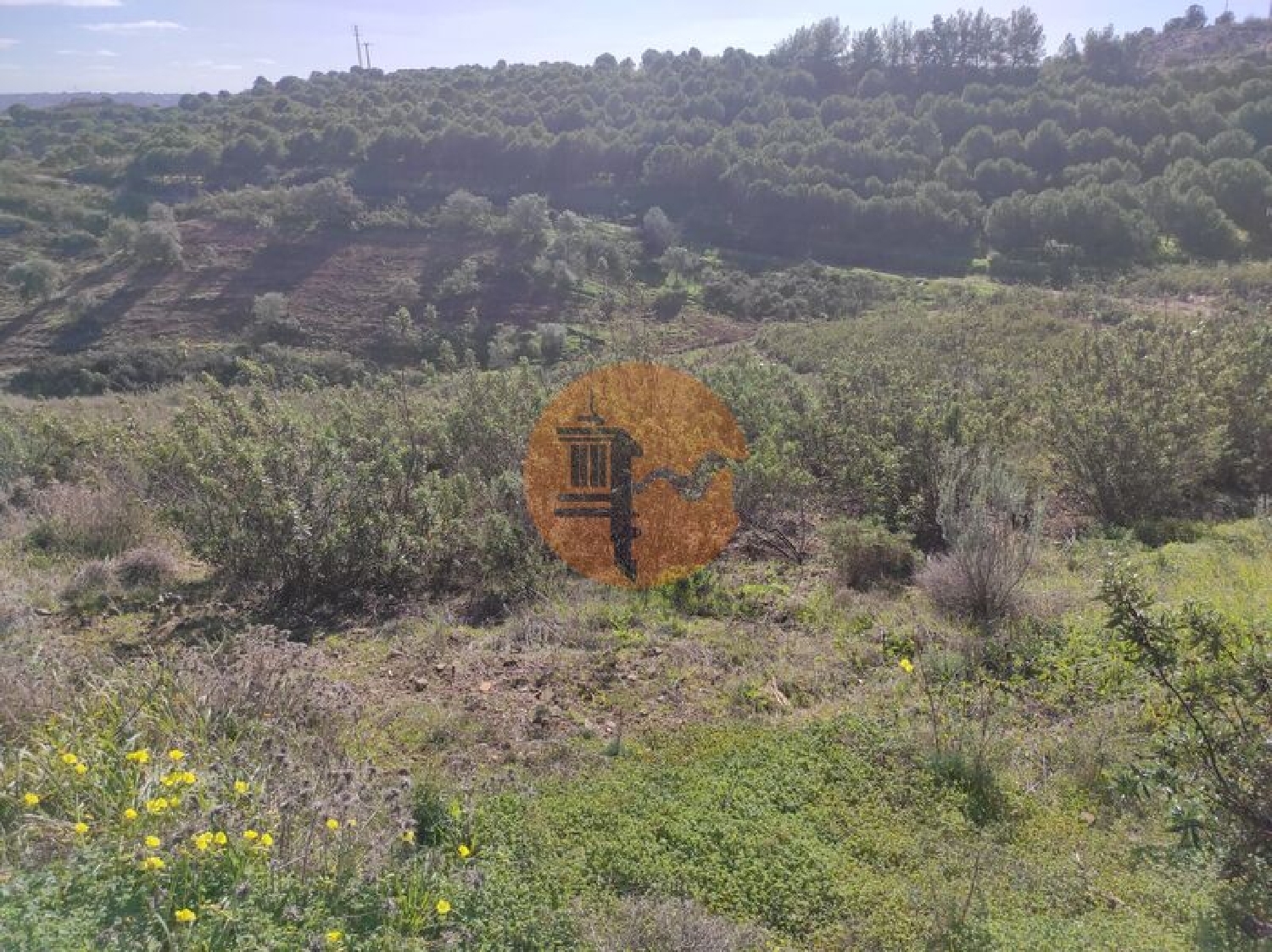  à vendre terrain Castro Marim Castro Marim 4