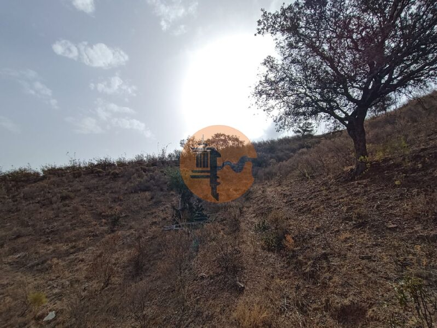 à vendre terrain Castro Marim Castro Marim 3