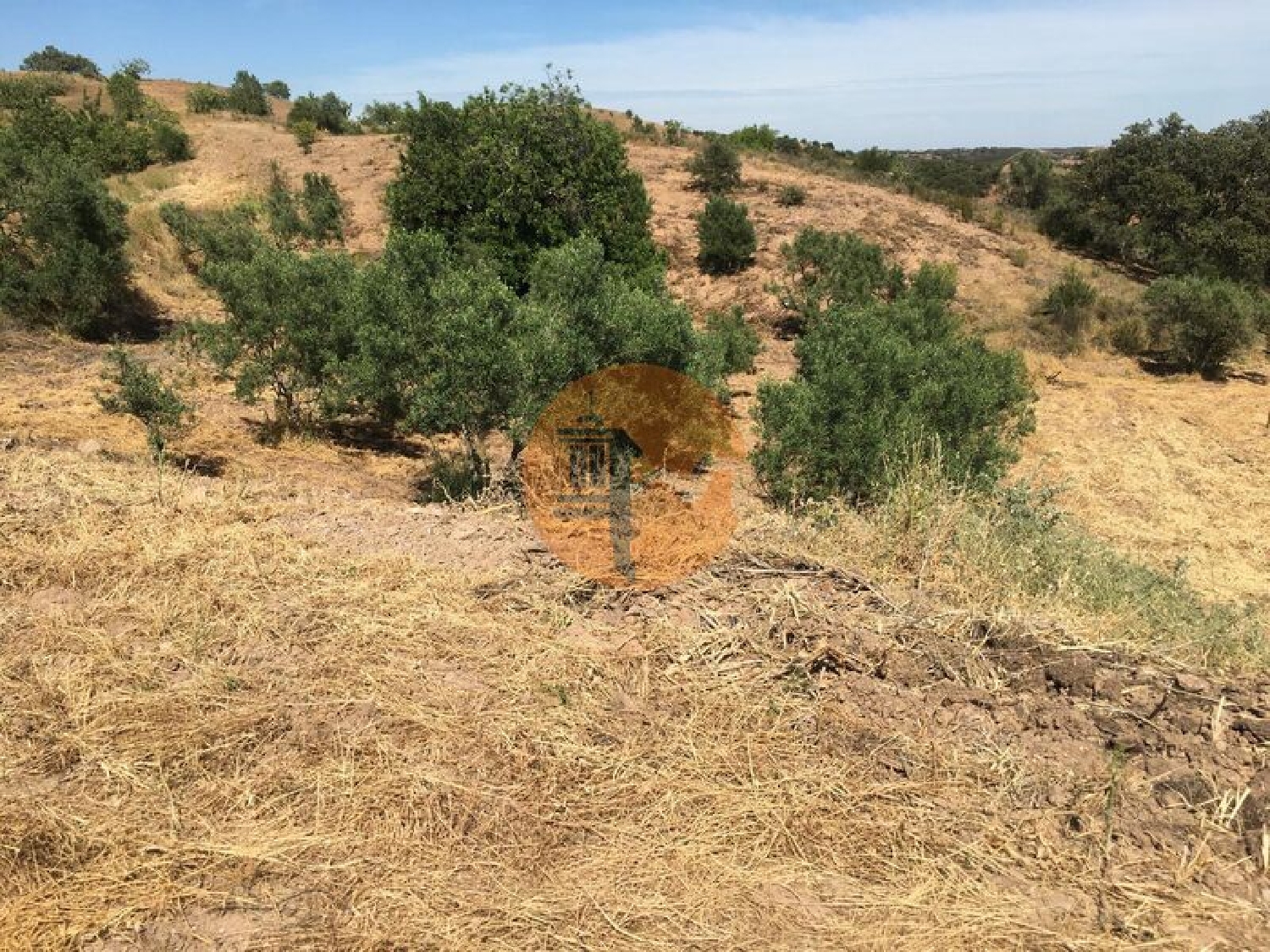  en venta terreno Castro Marim Castro Marim 1